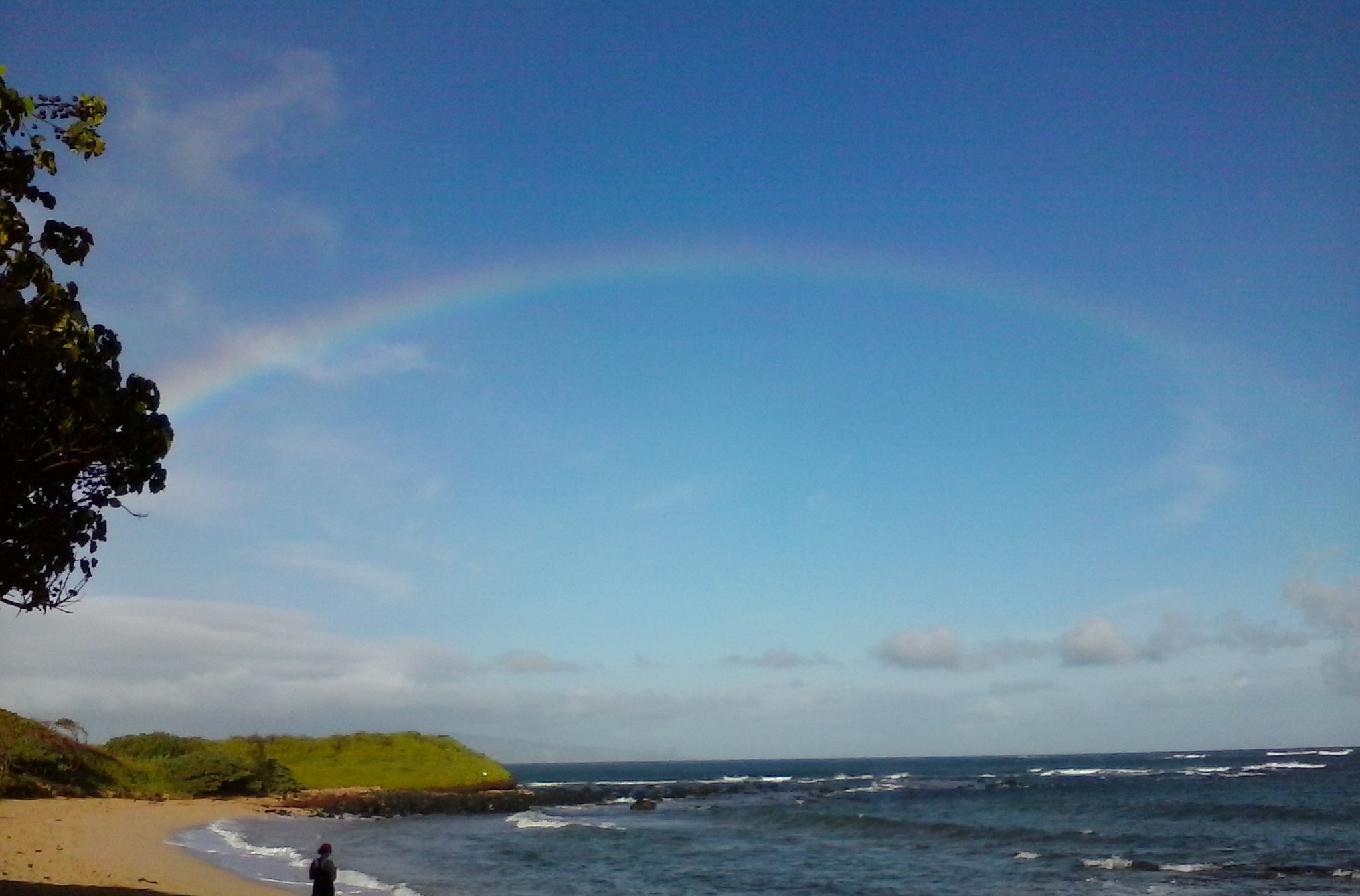 Maui Rainbow